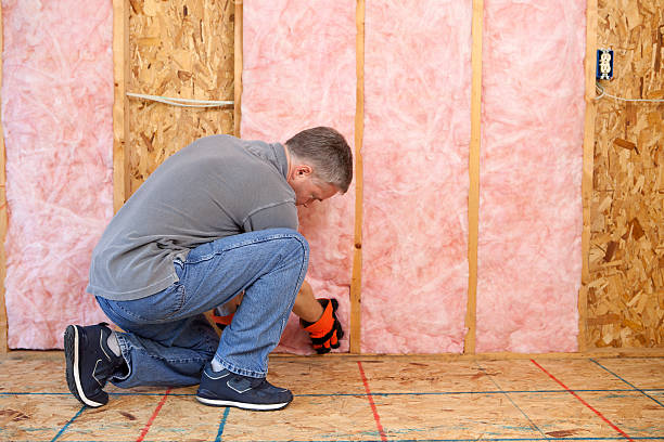 Best Insulation for Existing Homes  in Baldwin Park, CA